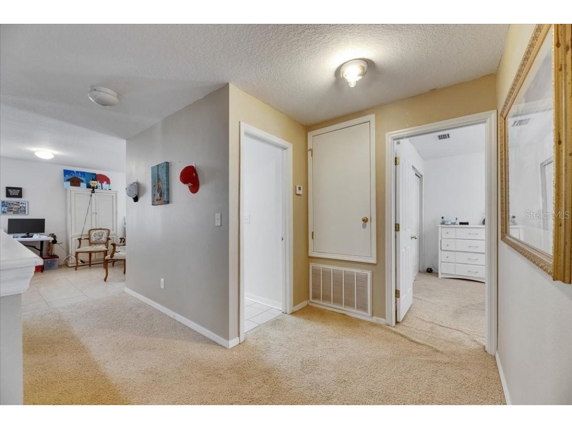 4735 Red Pine Way Wesley Chapel FL 33545 TB8398629 image58