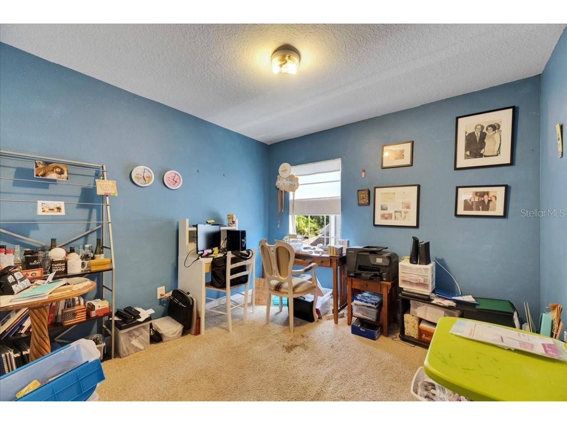 4735 Red Pine Way Wesley Chapel FL 33545 TB8398629 image60