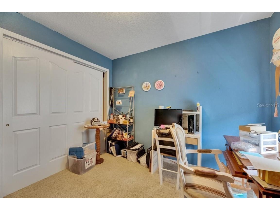 4735 Red Pine Way Wesley Chapel FL 33545 TB8398629 image61