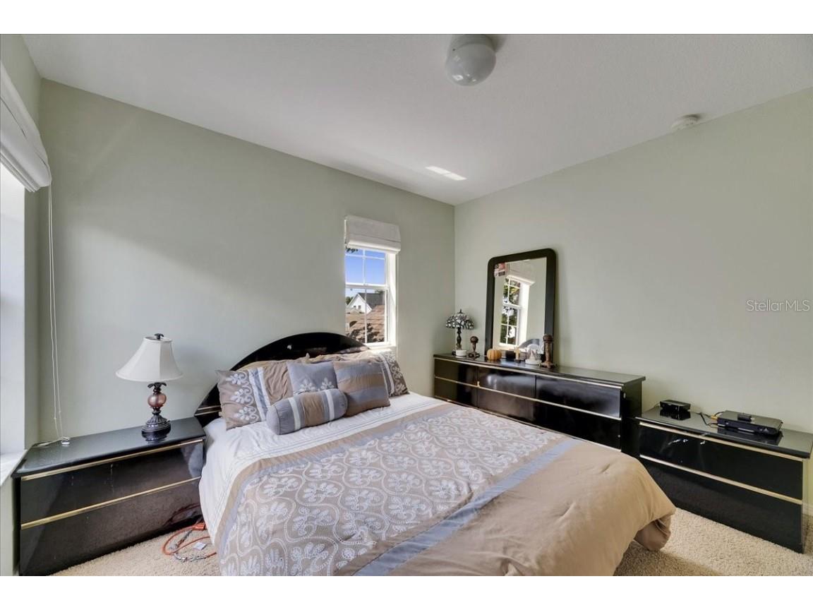 4735 Red Pine Way Wesley Chapel FL 33545 TB8398629 image67