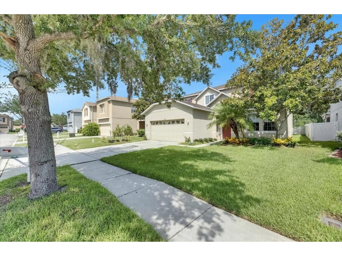 4735 Red Pine Way Wesley Chapel FL 33545 TB8398629 image7