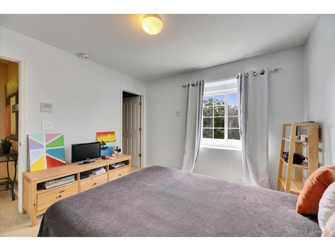 4735 Red Pine Way Wesley Chapel FL 33545 TB8398629 image70