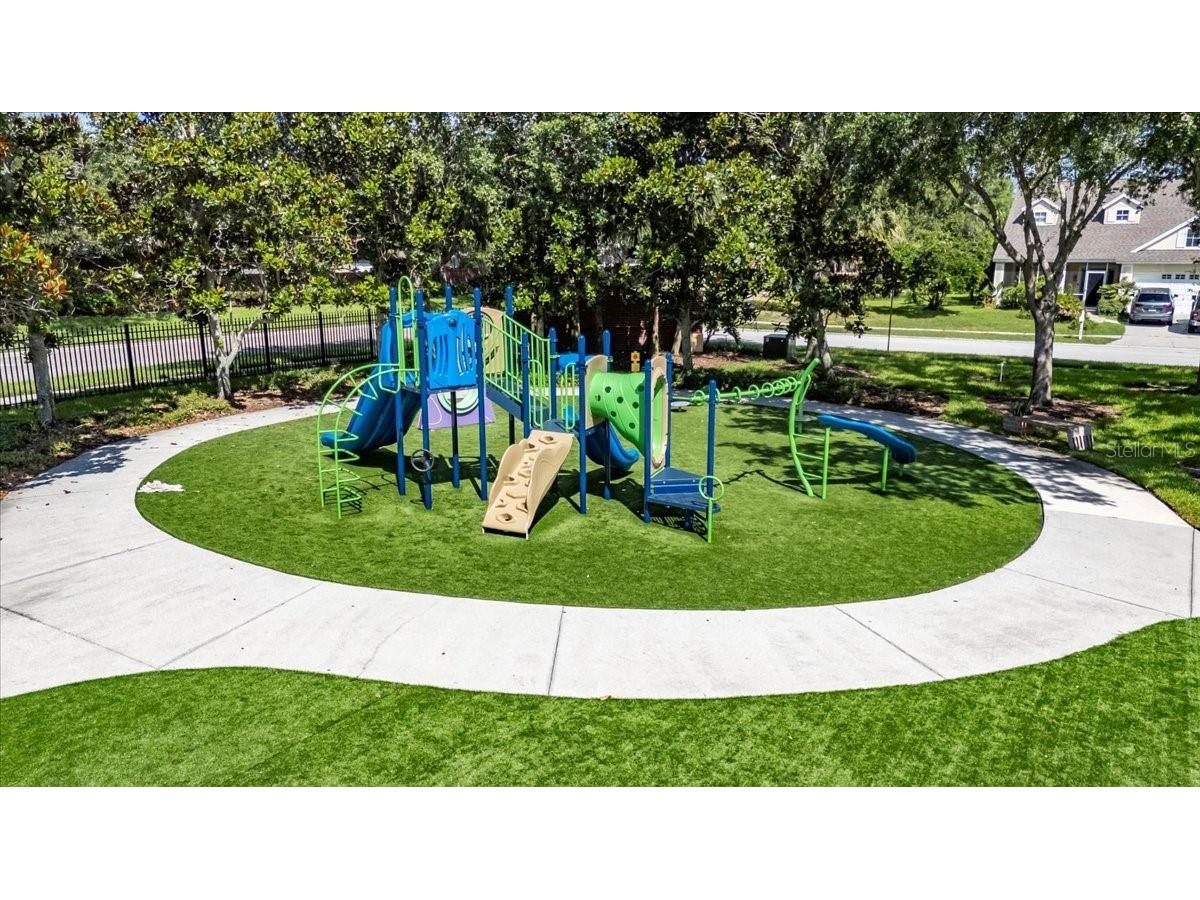 4735 Red Pine Way Wesley Chapel FL 33545 TB8398629 image83