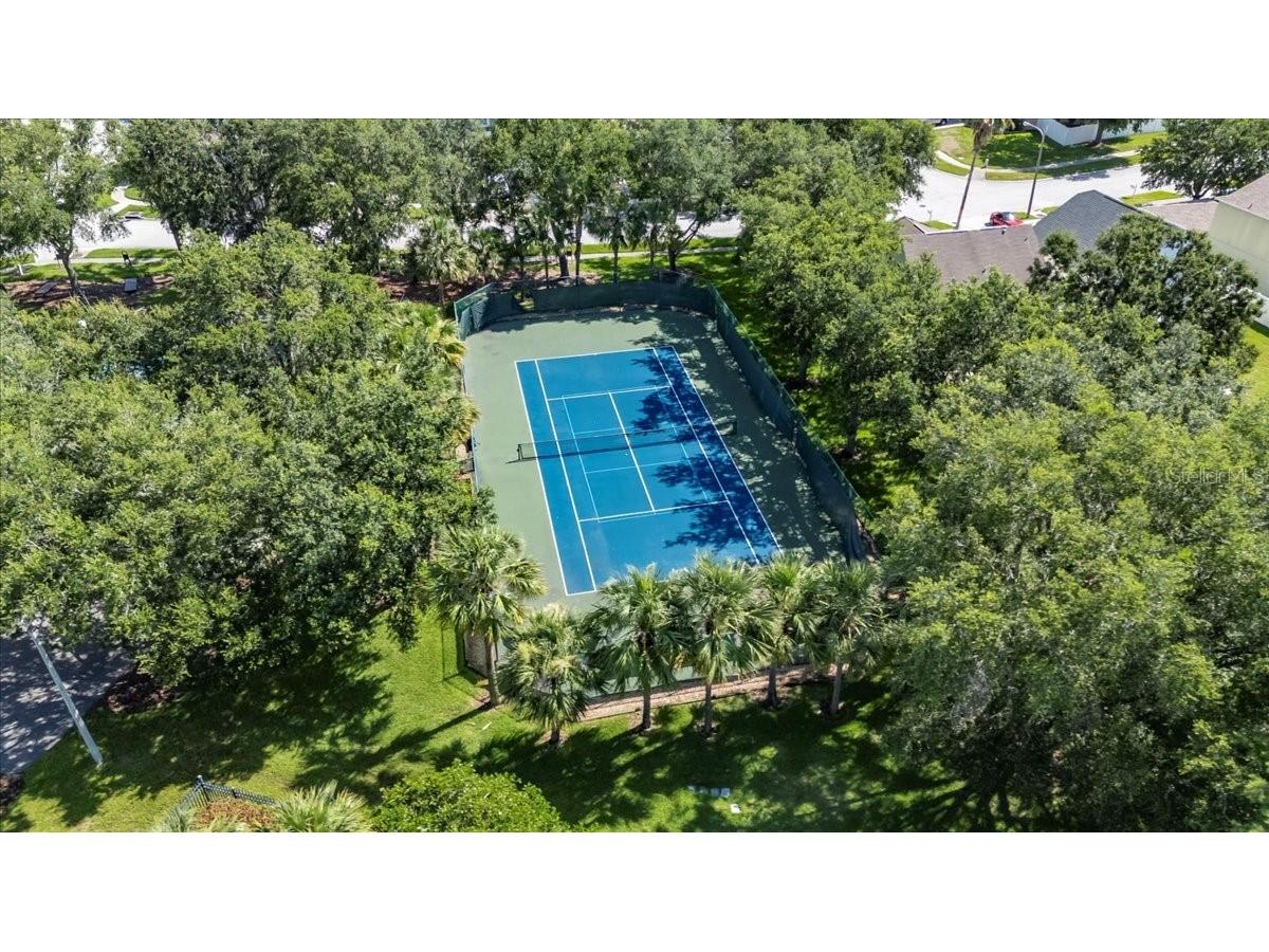 4735 Red Pine Way Wesley Chapel FL 33545 TB8398629 image85