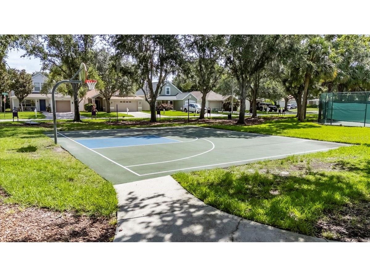 4735 Red Pine Way Wesley Chapel FL 33545 TB8398629 image86