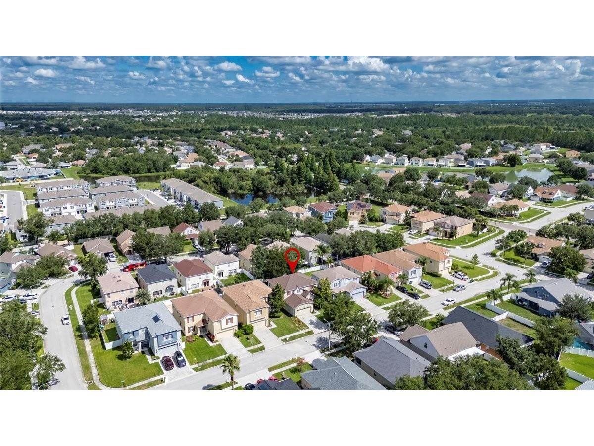 4735 Red Pine Way Wesley Chapel FL 33545 TB8398629 image96