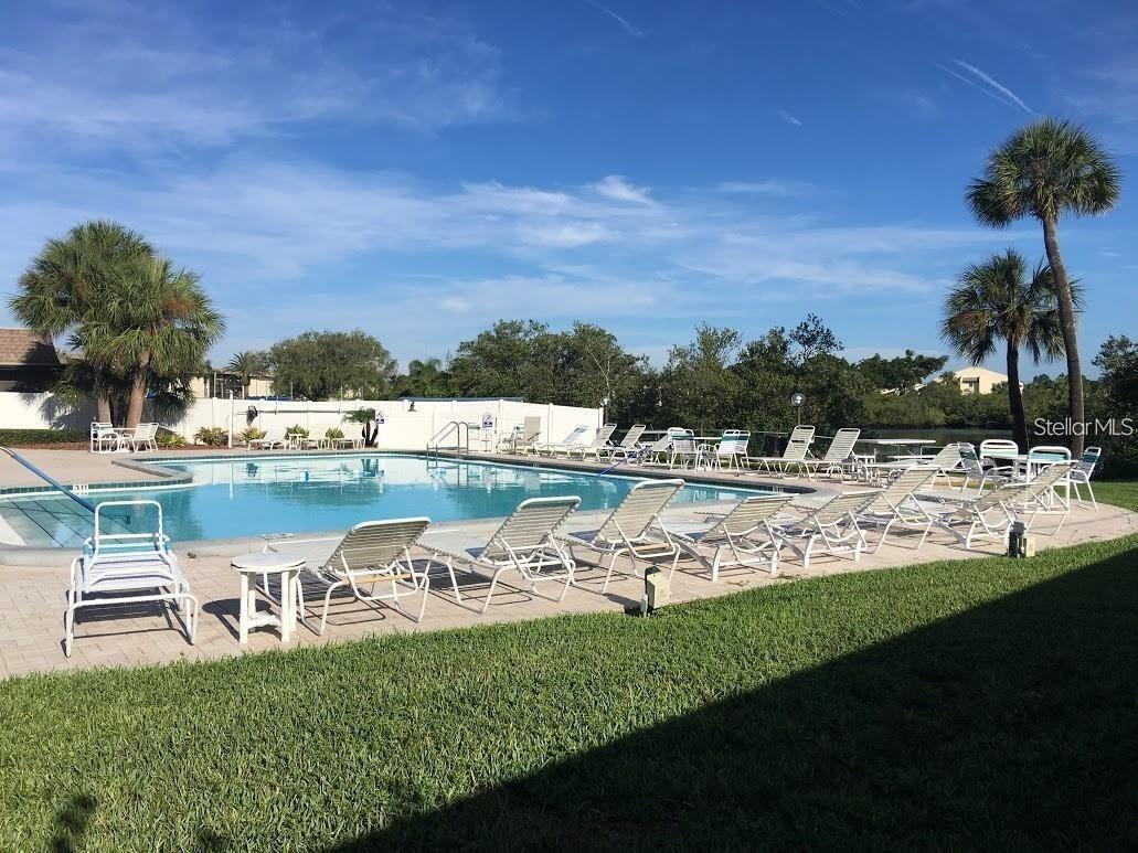 4736 Jasper Drive #207 New Port Richey FL 34652 W7885826 image18