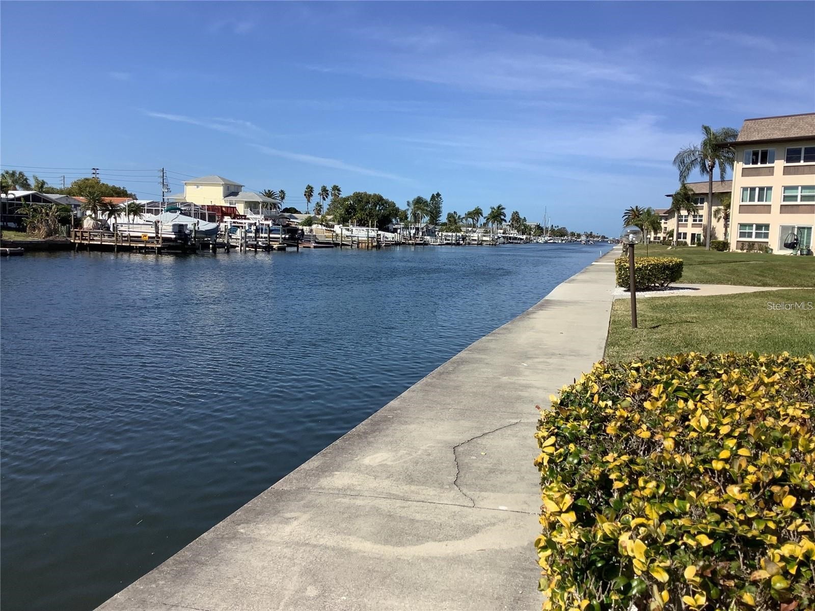 4736 Jasper Drive #207 New Port Richey FL 34652 W7885826 image21