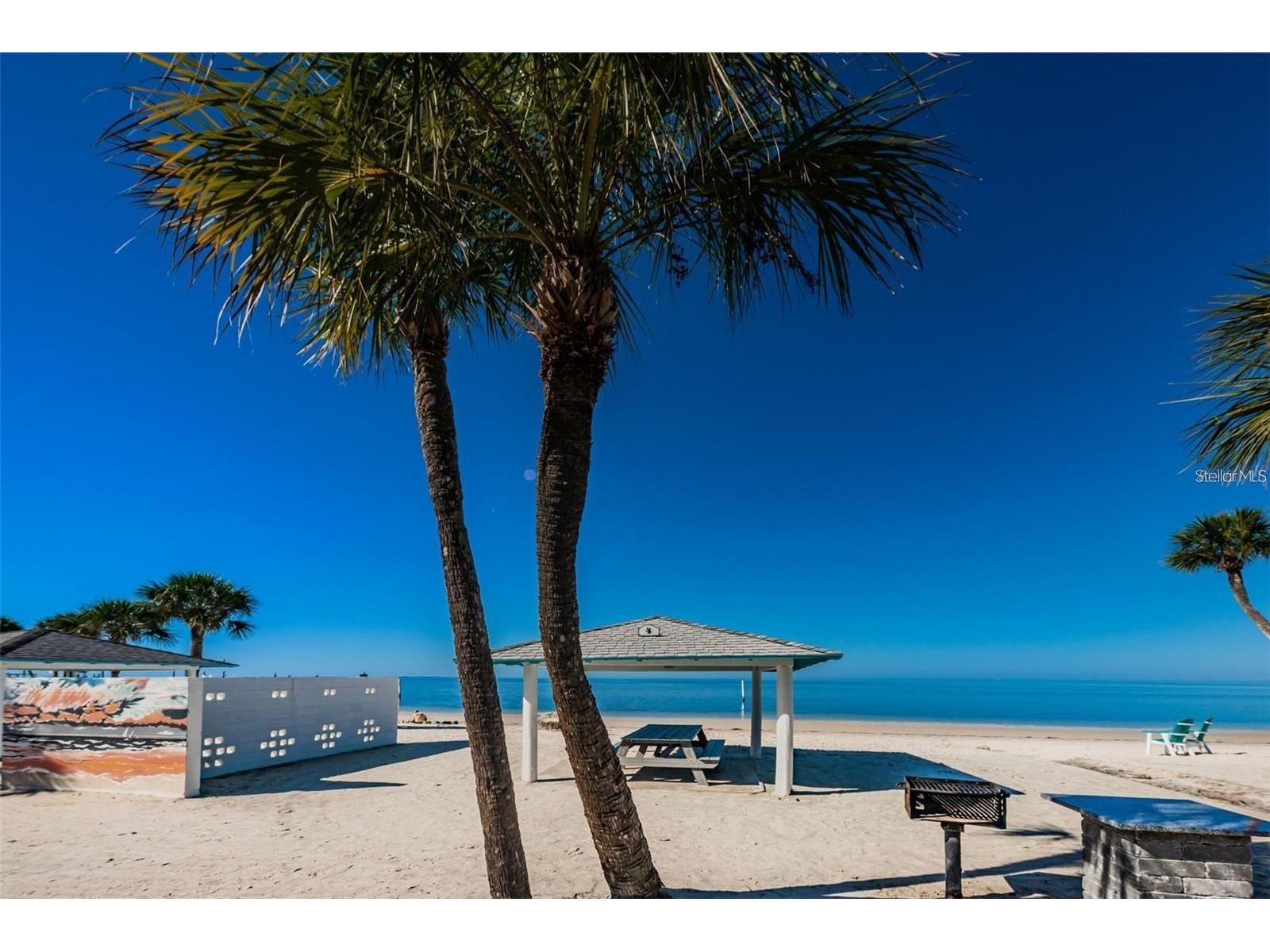 4736 Jasper Drive #207 New Port Richey FL 34652 W7885826 image23