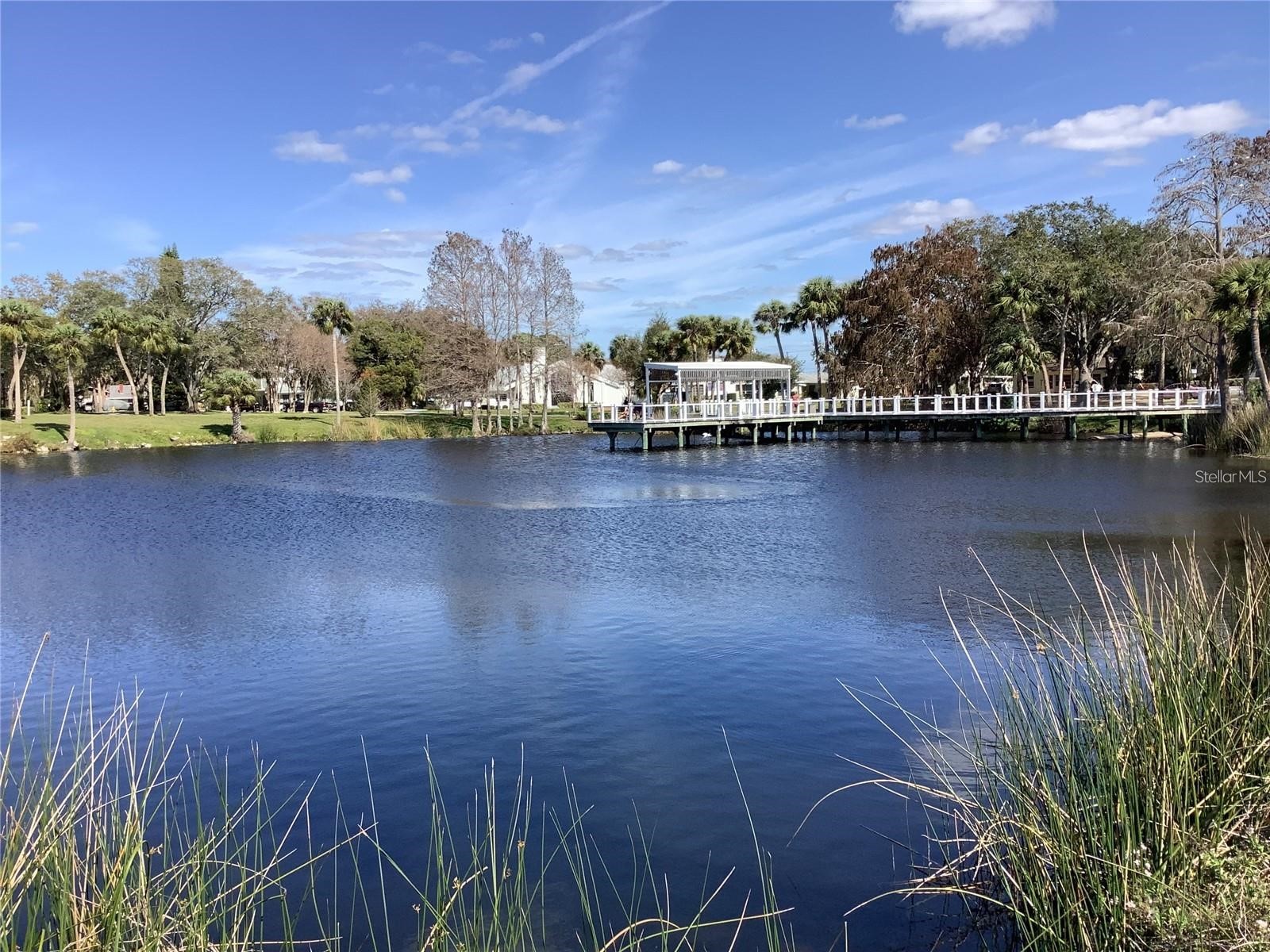 4736 Jasper Drive #207 New Port Richey FL 34652 W7885826 image26