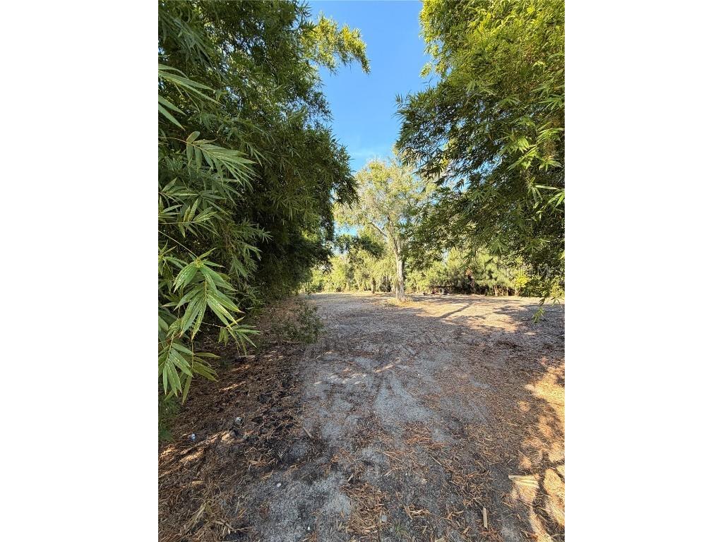 4736 Normandy Drive Tampa FL 33615 TB8455597 image4