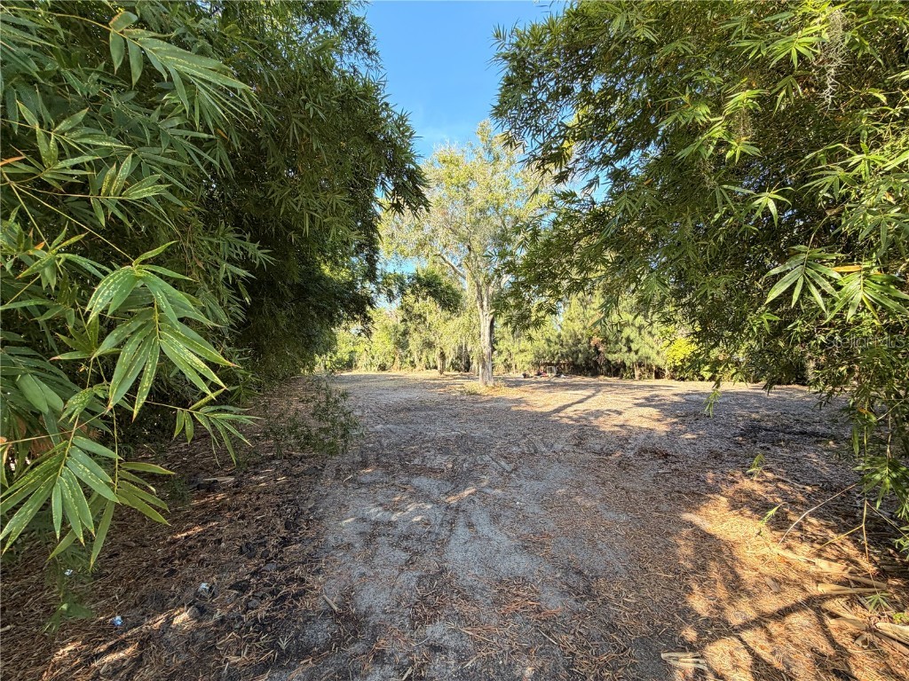 4736 Normandy Drive Tampa FL 33615 TB8455597 image5