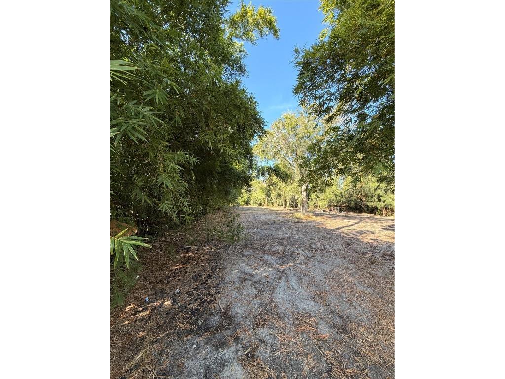 4736 Normandy Drive Tampa FL 33615 TB8455597 image6