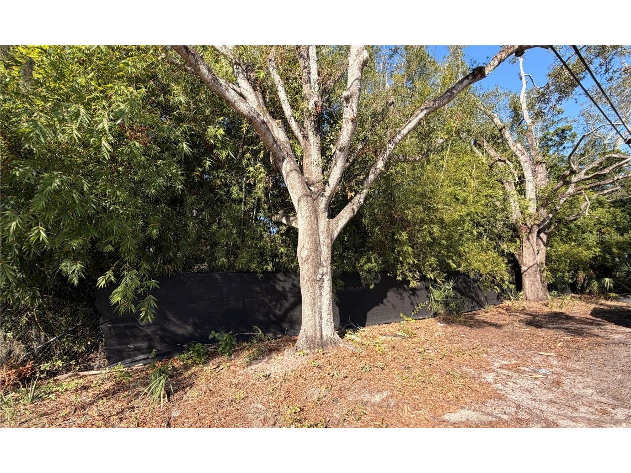 4736 Normandy Drive Tampa FL 33615 TB8455597 image8