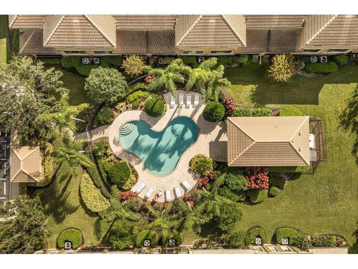 4736 Swordfish Way Palm Harbor FL 34684 OM709521 image27