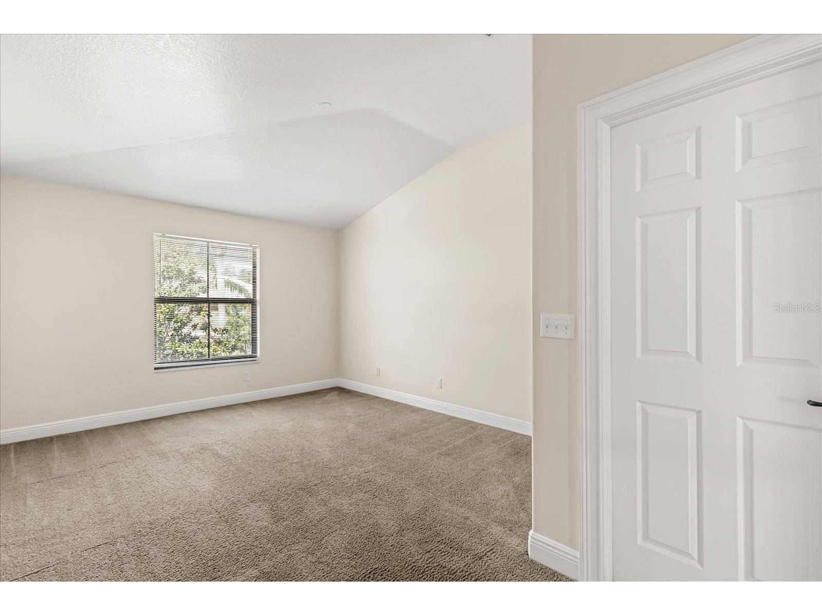 4736 Swordfish Way Palm Harbor FL 34684 OM721803 image22