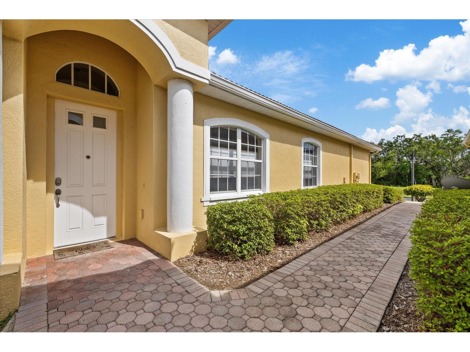 4737 Casswell Drive New Port Richey FL 34652 W7886524 image12