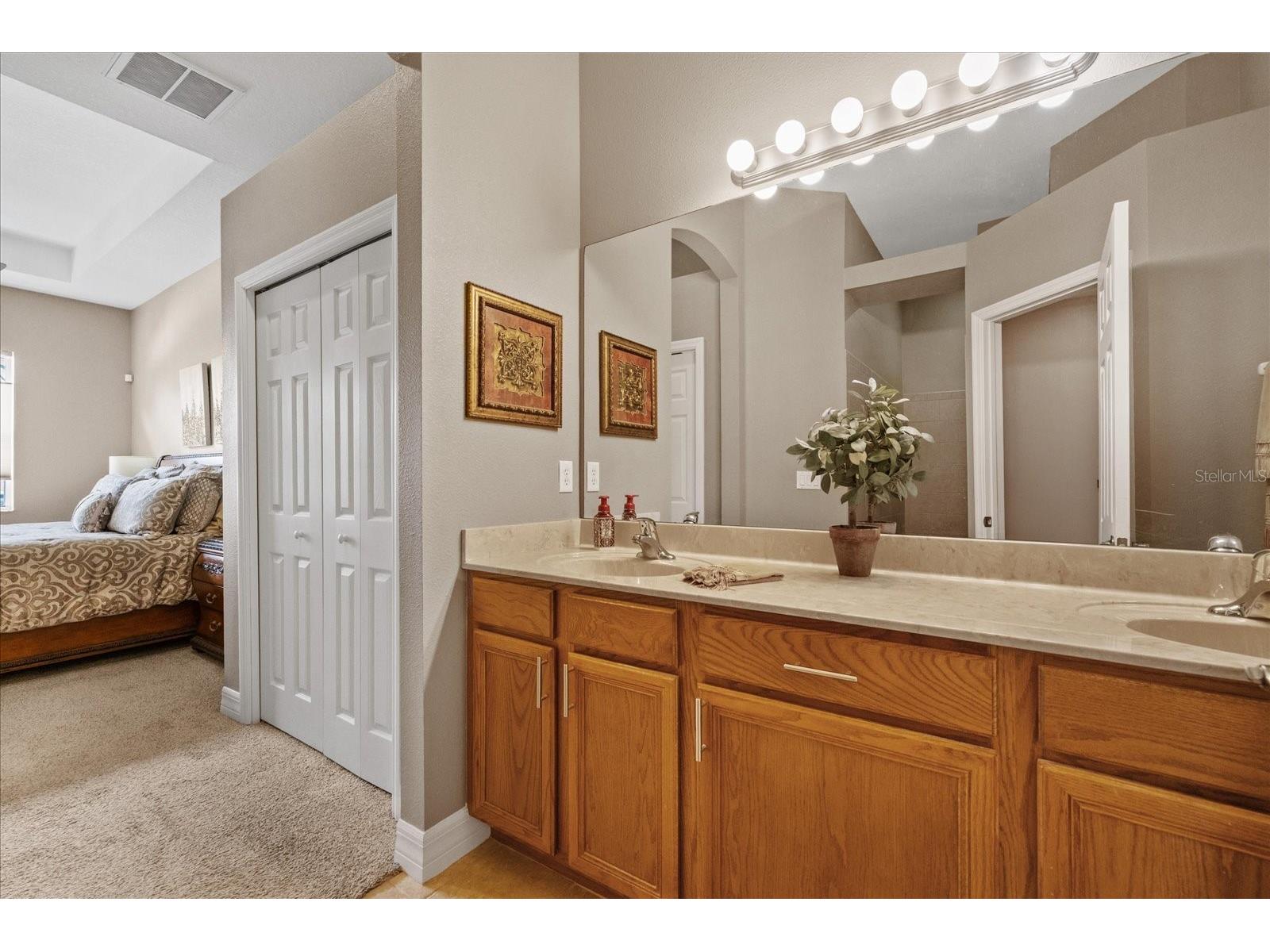 4737 Casswell Drive New Port Richey FL 34652 W7886524 image28