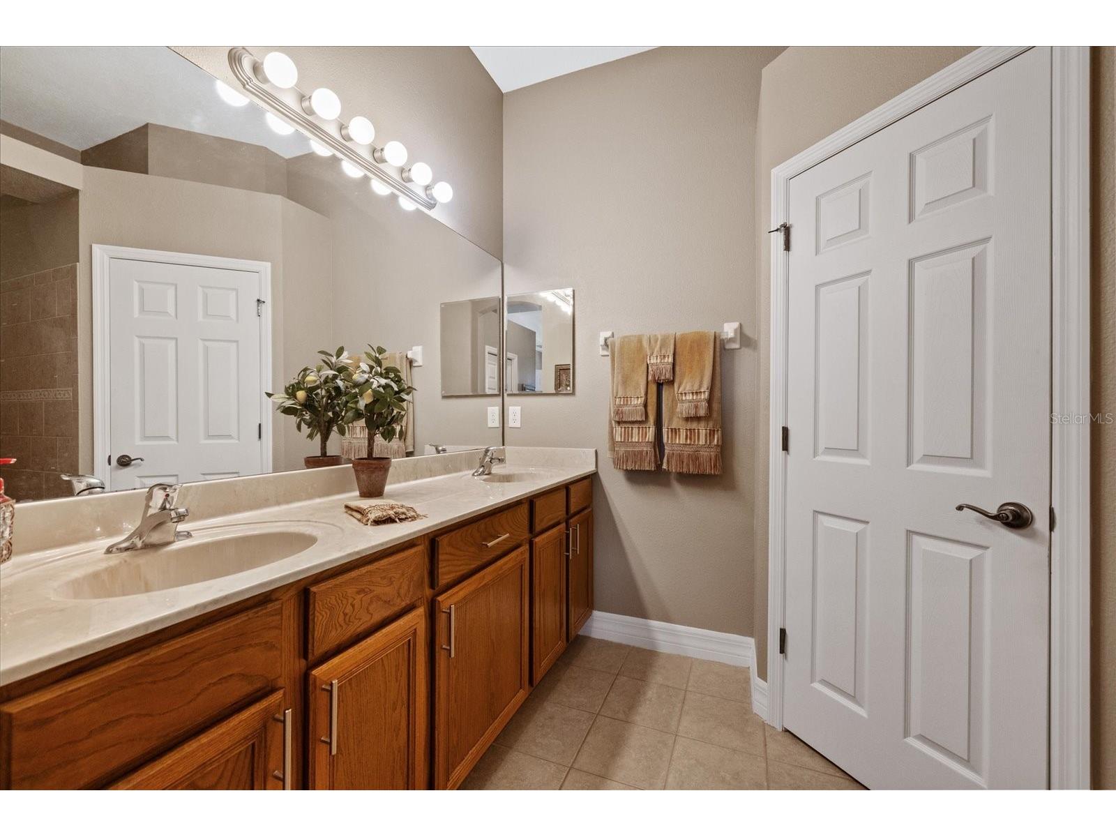 4737 Casswell Drive New Port Richey FL 34652 W7886524 image29
