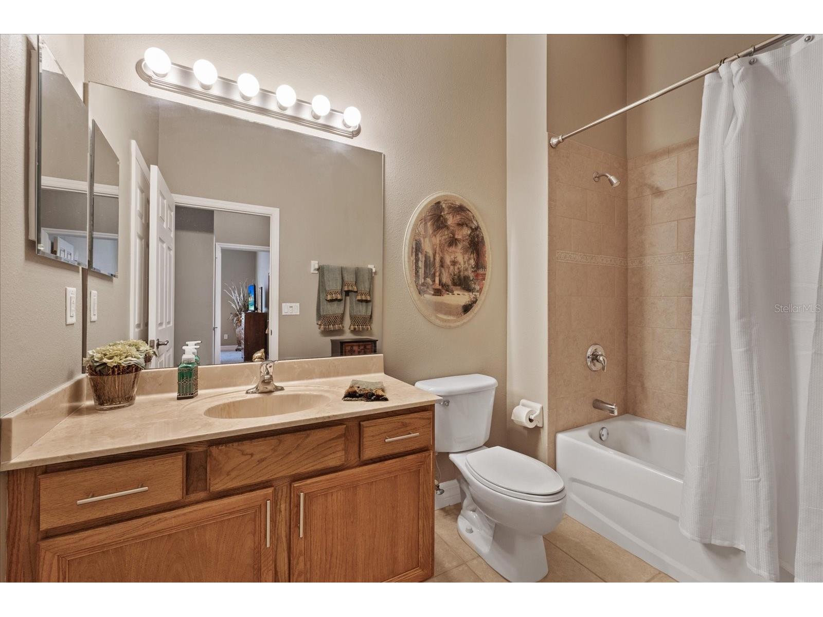 4737 Casswell Drive New Port Richey FL 34652 W7886524 image36