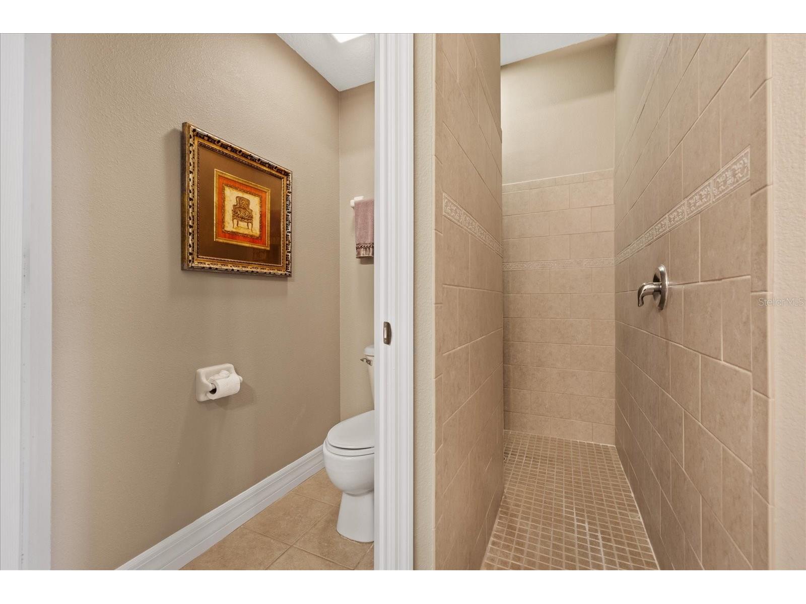 4737 Casswell Drive New Port Richey FL 34652 W7886524 image38