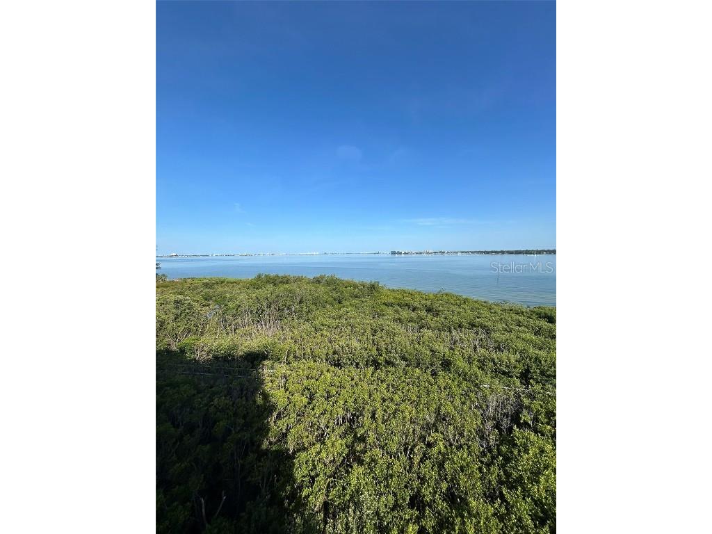 4737 Dolphin Cay Lane S #408 Saint Petersburg FL 33711 TB8386994 image10