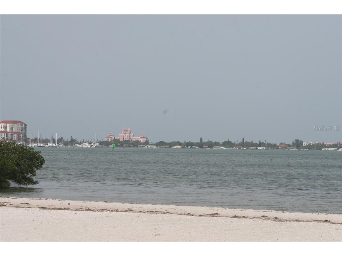 4737 Dolphin Cay Lane S #408 Saint Petersburg FL 33711 TB8386994 image31