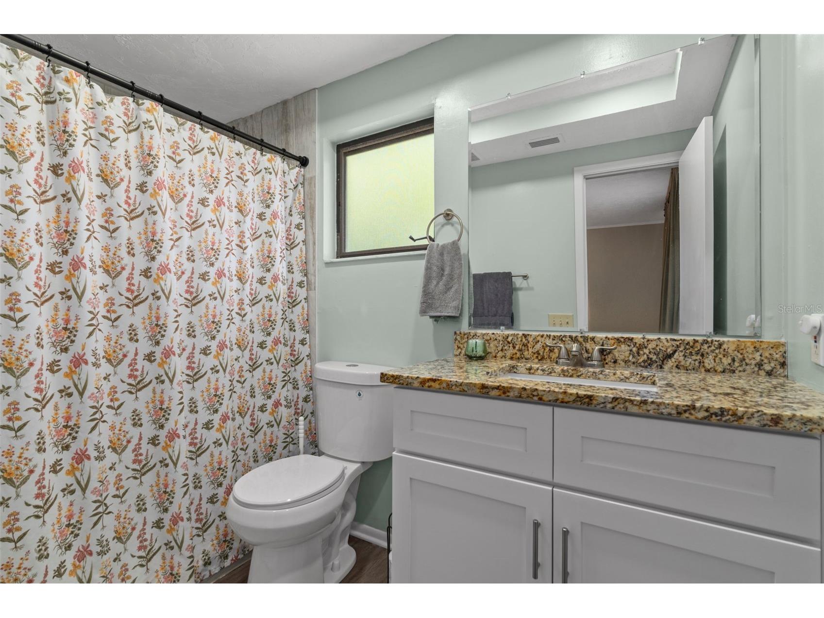 4737 King Lake Drive Land O Lakes FL 34639 TB8515275 image27
