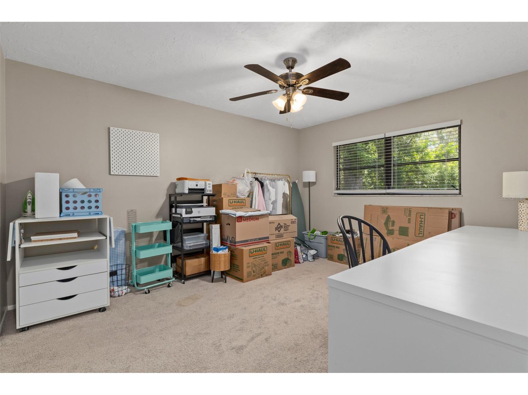 4737 King Lake Drive Land O Lakes FL 34639 TB8515275 image32