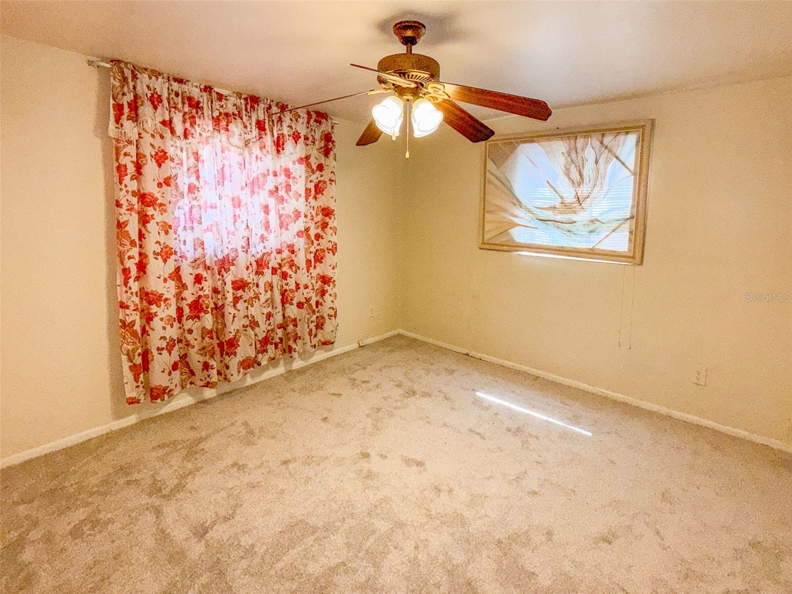 4737 Longwood Avenue Holiday FL 34690 TB8525885 image11
