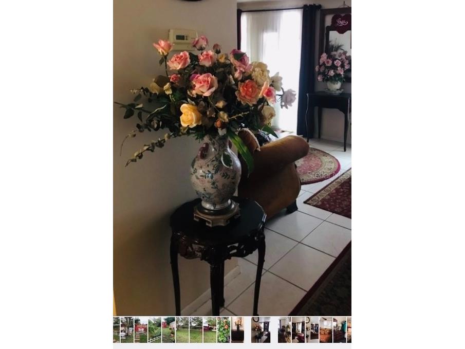 4737 Longwood Avenue Holiday FL 34690 TB8525885 image24