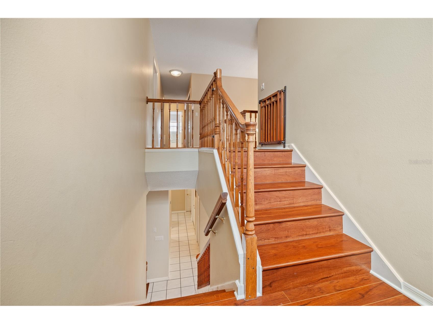 4738 Innisfil Street Palm Harbor FL 34683 TB8466090 image26