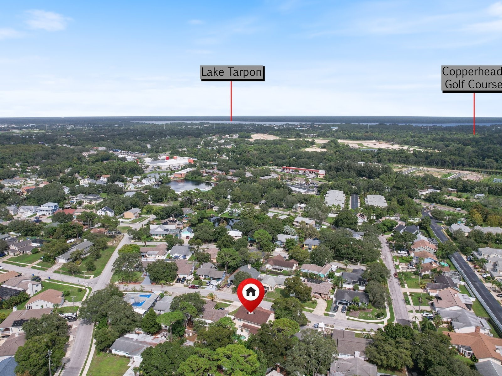 4738 Innisfil Street Palm Harbor FL 34683 TB8466090 image49