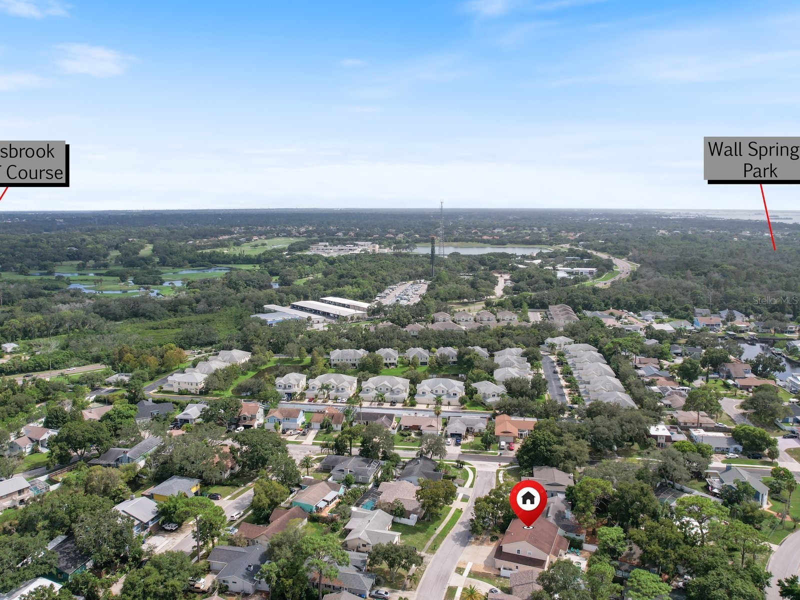 4738 Innisfil Street Palm Harbor FL 34683 TB8466090 image50