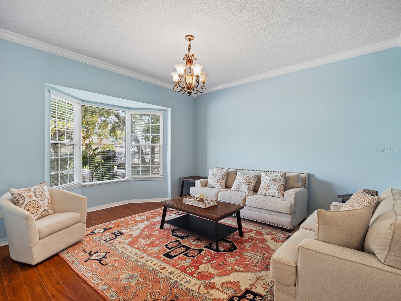 4738 Innisfil Street Palm Harbor FL 34683 TB8466090 image6