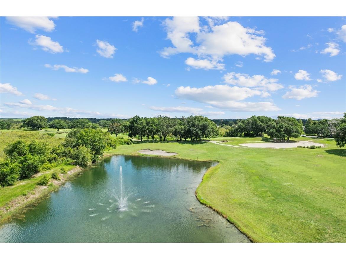 4738 St Andrews Arcade Leesburg FL 34748 O6323322 image37