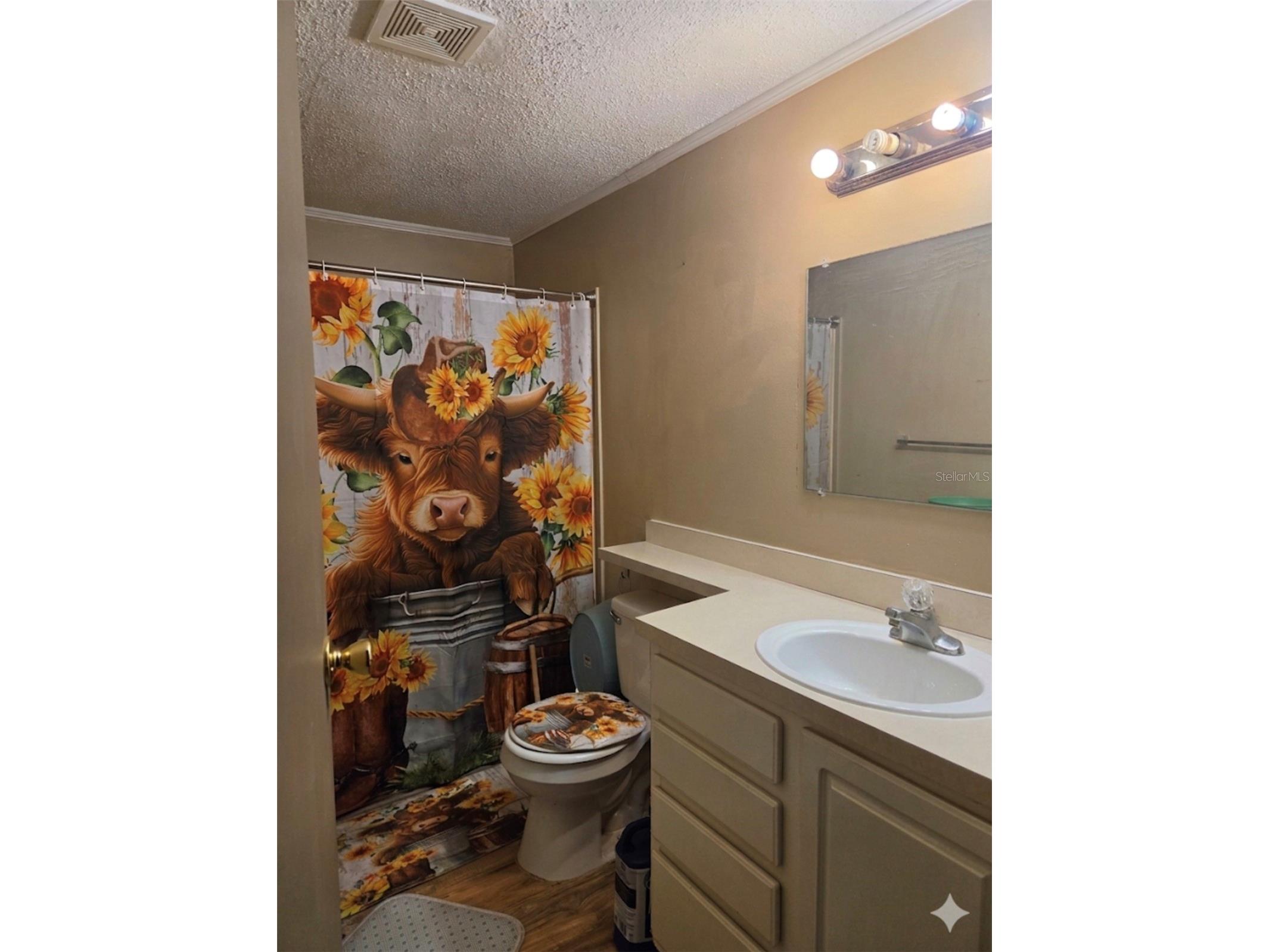 4738 SW 166th Court Road Ocala FL 34481 OM724780 image11