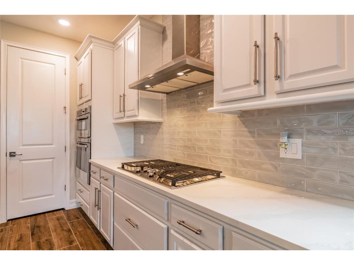 4738 Tramanto Lane Wesley Chapel FL 33543 TB8414227 image14