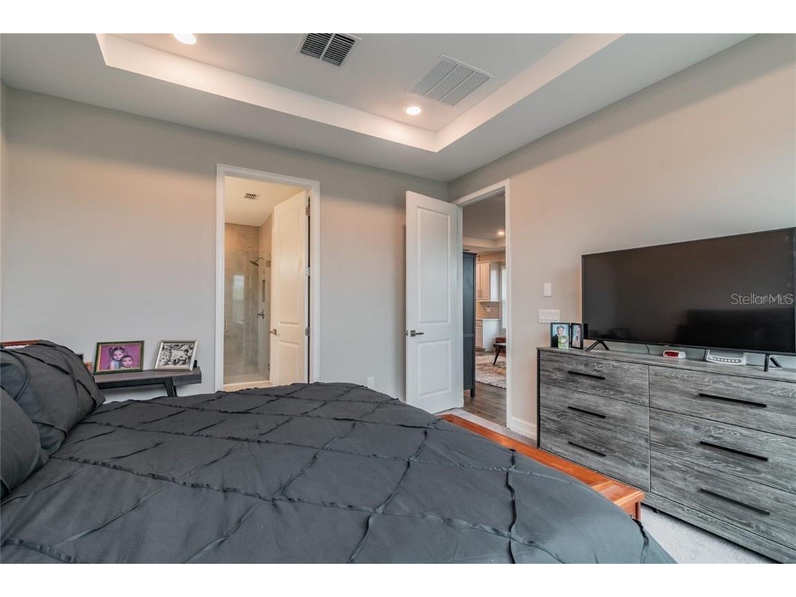 4738 Tramanto Lane Wesley Chapel FL 33543 TB8414227 image26