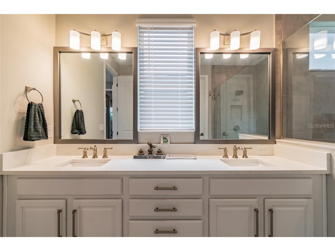 4738 Tramanto Lane Wesley Chapel FL 33543 TB8414227 image27