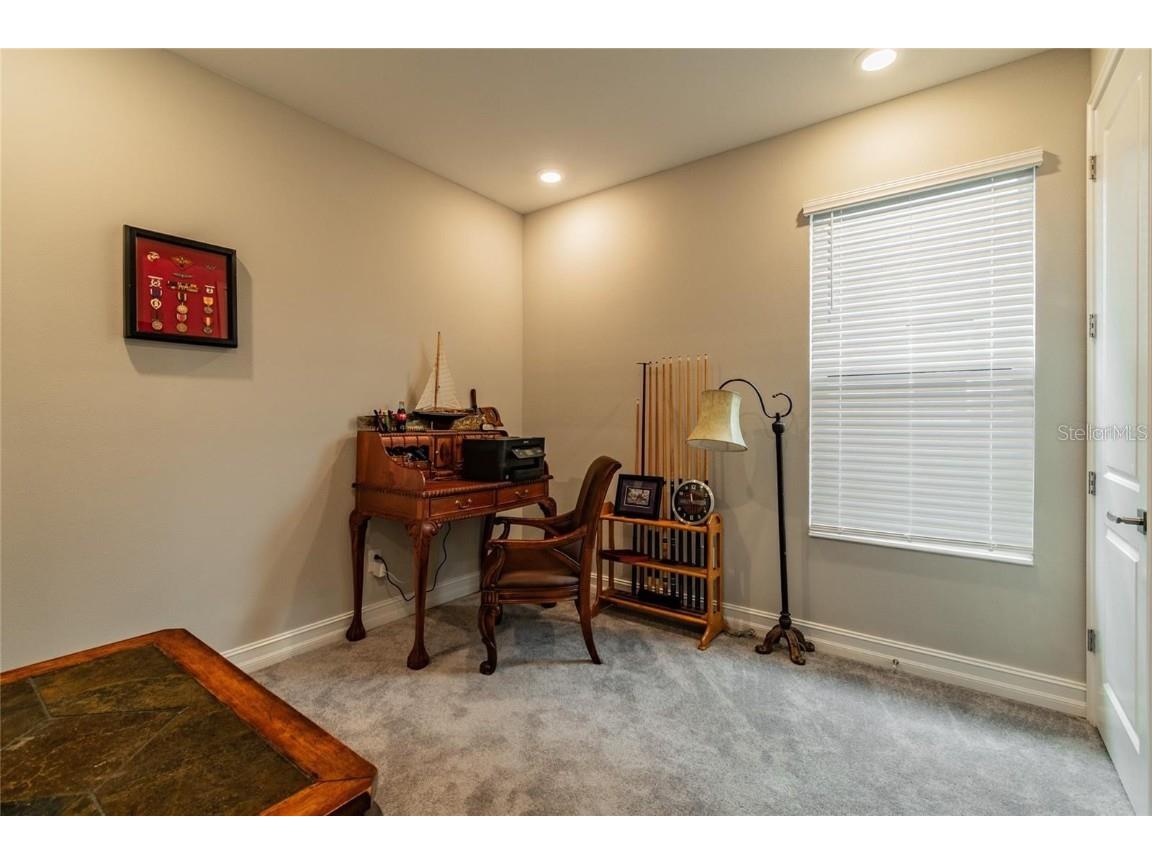 4738 Tramanto Lane Wesley Chapel FL 33543 TB8414227 image35