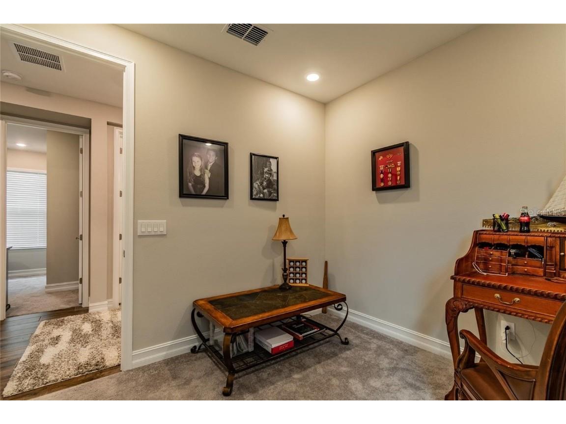 4738 Tramanto Lane Wesley Chapel FL 33543 TB8414227 image36