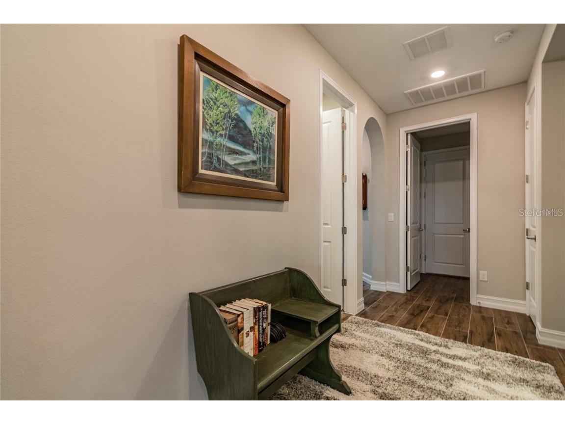 4738 Tramanto Lane Wesley Chapel FL 33543 TB8414227 image38