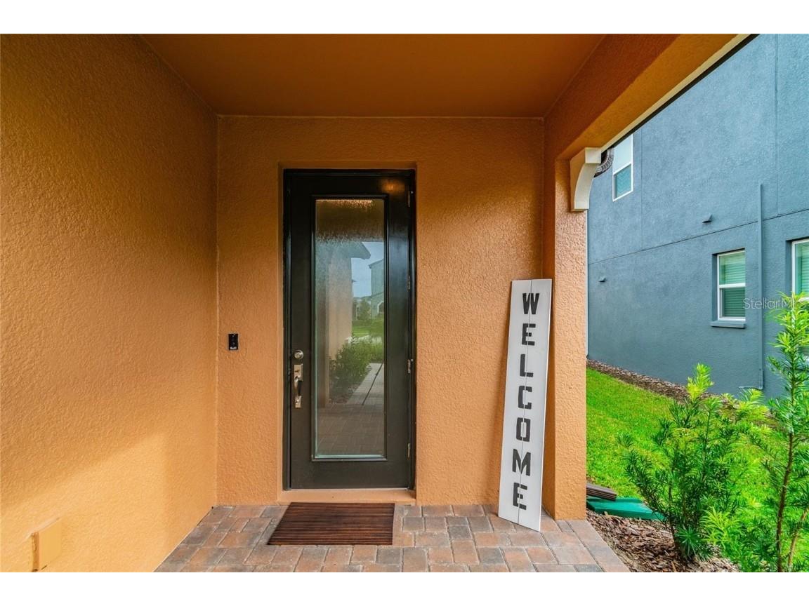 4738 Tramanto Lane Wesley Chapel FL 33543 TB8414227 image8