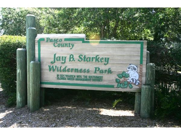 4739 Carrington Court New Port Richey FL 34655 W7879600 image50