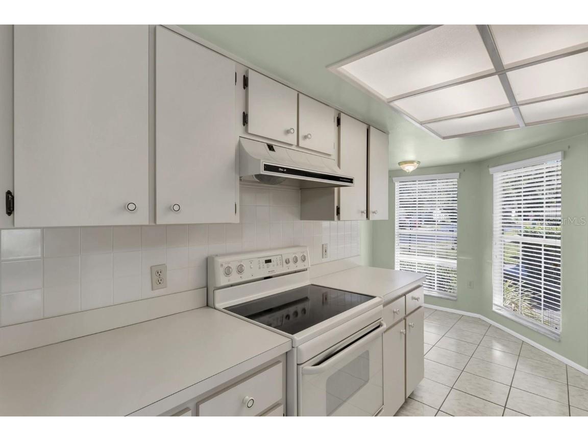 4739 Carrington Court New Port Richey FL 34655 W7879600 image8