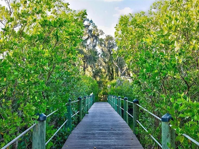 4739 Compass Drive Bradenton FL 34208 - MANATEE RIVER A4682233 image54