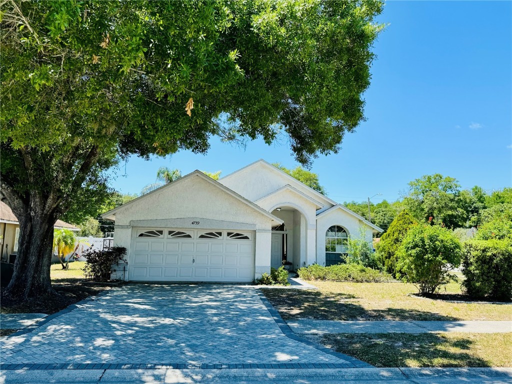 4739 Rowe Drive New Port Richey FL 34653 W7863668 image1