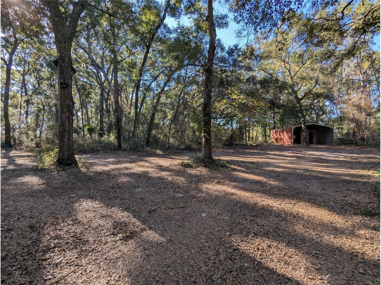 4739 SE 60th Avenue Trenton FL 32693 OM713546 image38