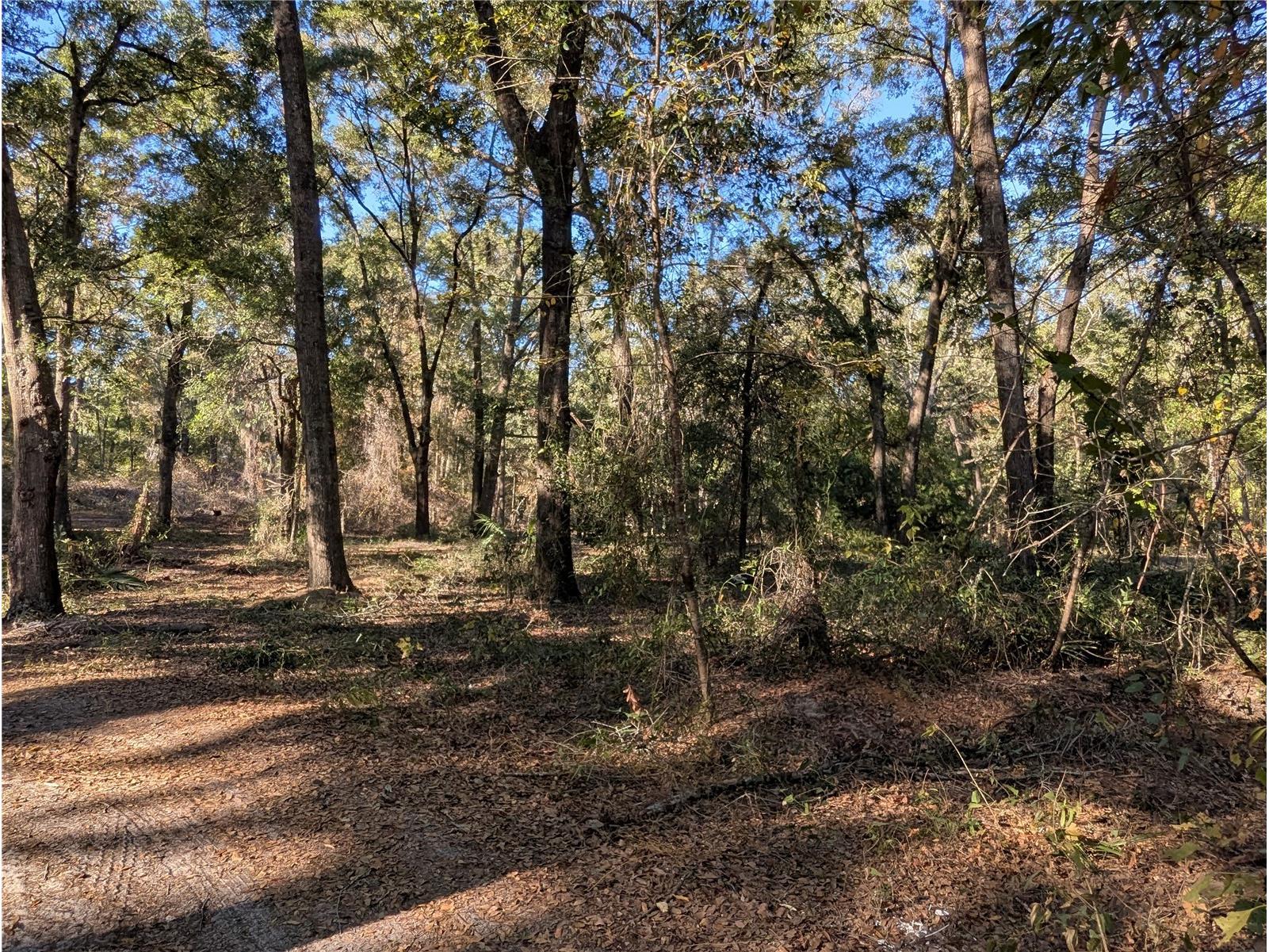 4739 SE 60th Avenue Trenton FL 32693 OM713546 image46